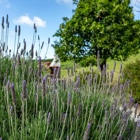 Casa rural Aldea Salguero *